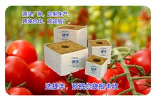 亚马逊-源头厂家【捷丰】大棚番茄蔬菜无土栽培  农用岩棉育苗块