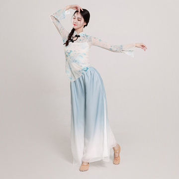 古典舞古风网纱纱衣飘逸弹力身韵练功演出服中国舞艺考服装舞台装