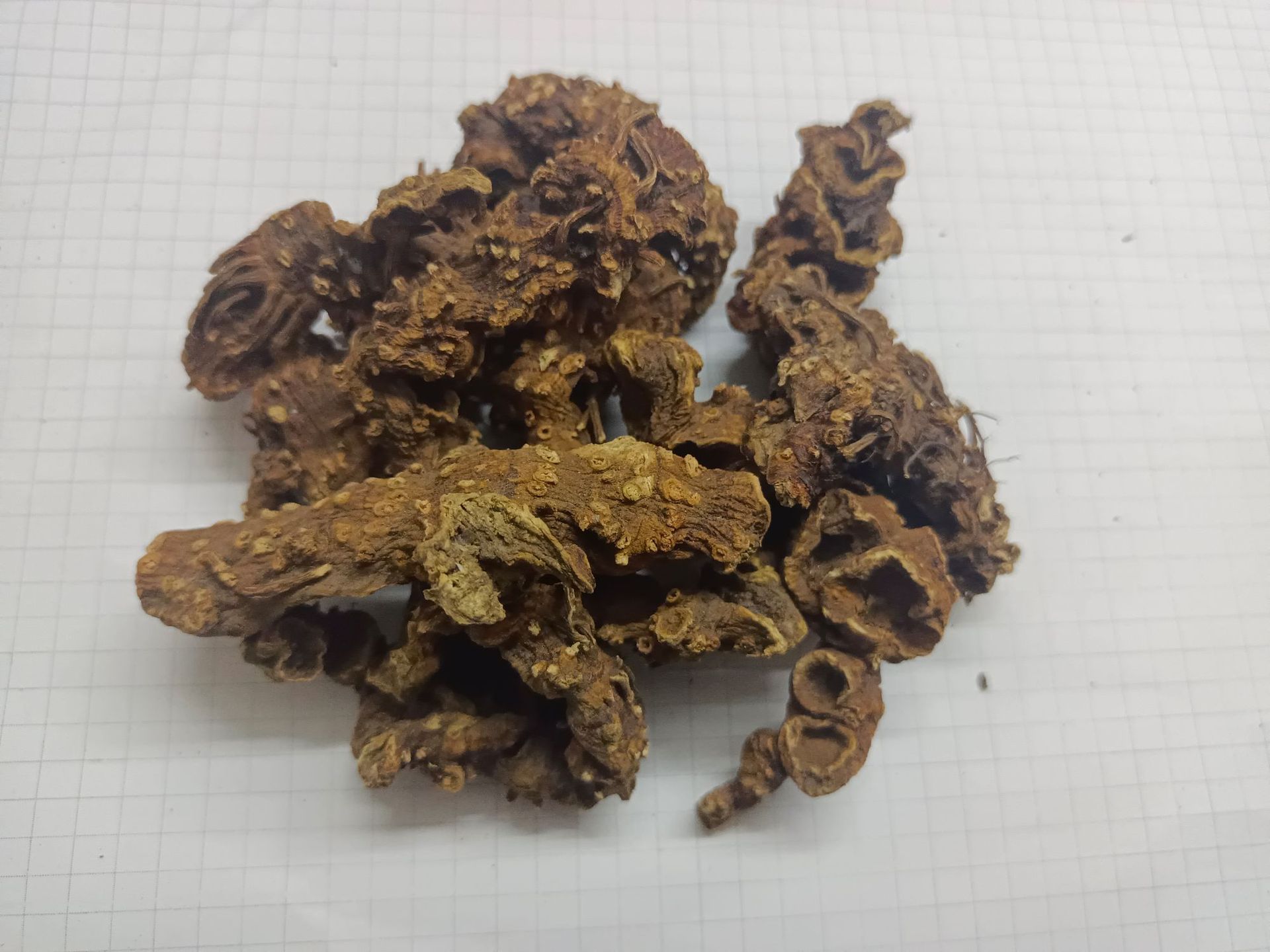 八角莲 中药材 八角连 金魁莲 一把伞 八角七包邮产地贵州7月产新