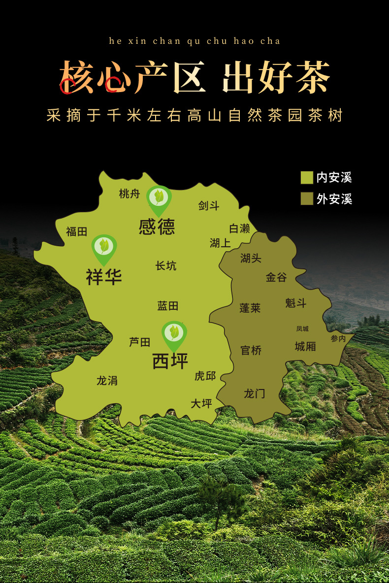 福建闽南安溪乌龙茶铁观音清香浓香茶叶500g散装礼盒装批发