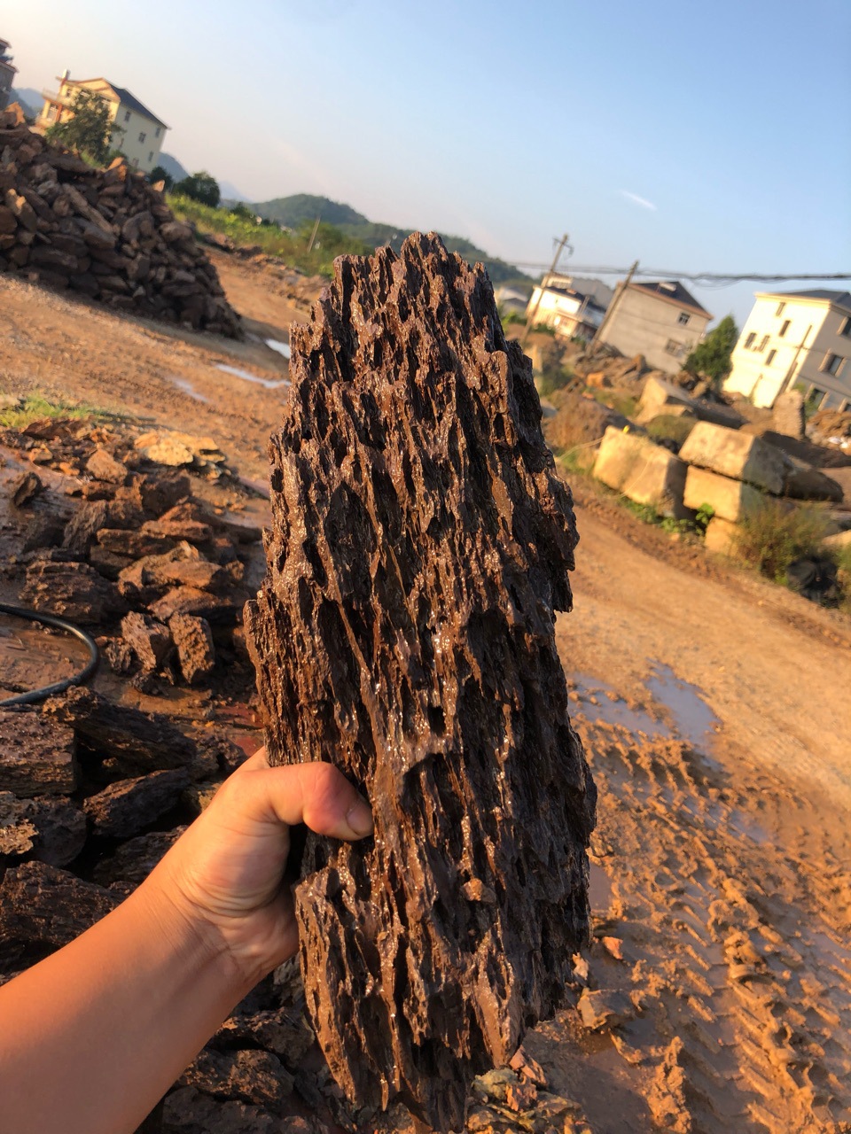 水族造景松皮石批发自然龙骨石盆景石吸水石园林石笋石造景石