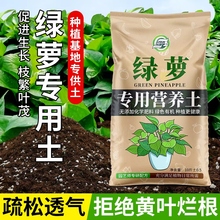 绿萝营养土种花养花绿萝专用土壤肥料家用盆栽花卉土有机种植泥莉