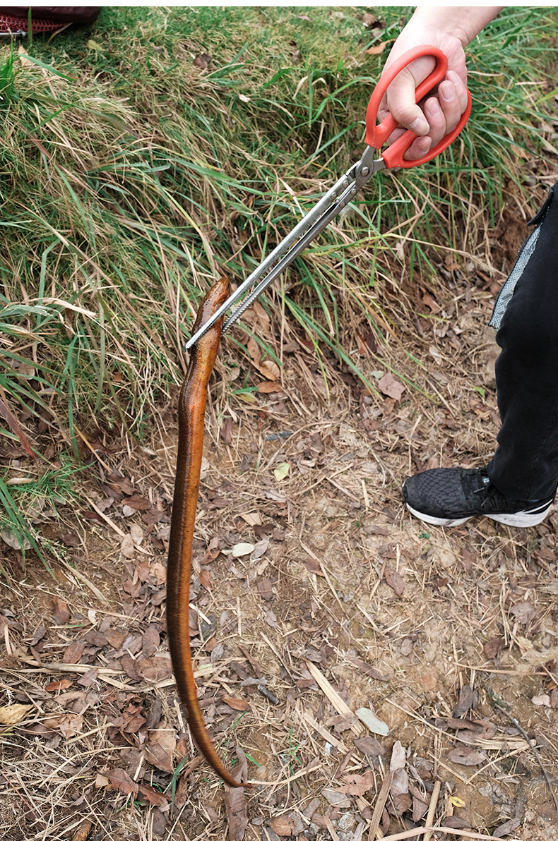 黄鳝夹加长鳝鱼钳控鱼器抓鱼泥鳅龙虾黄善螃蟹夹子钳子防滑专用工