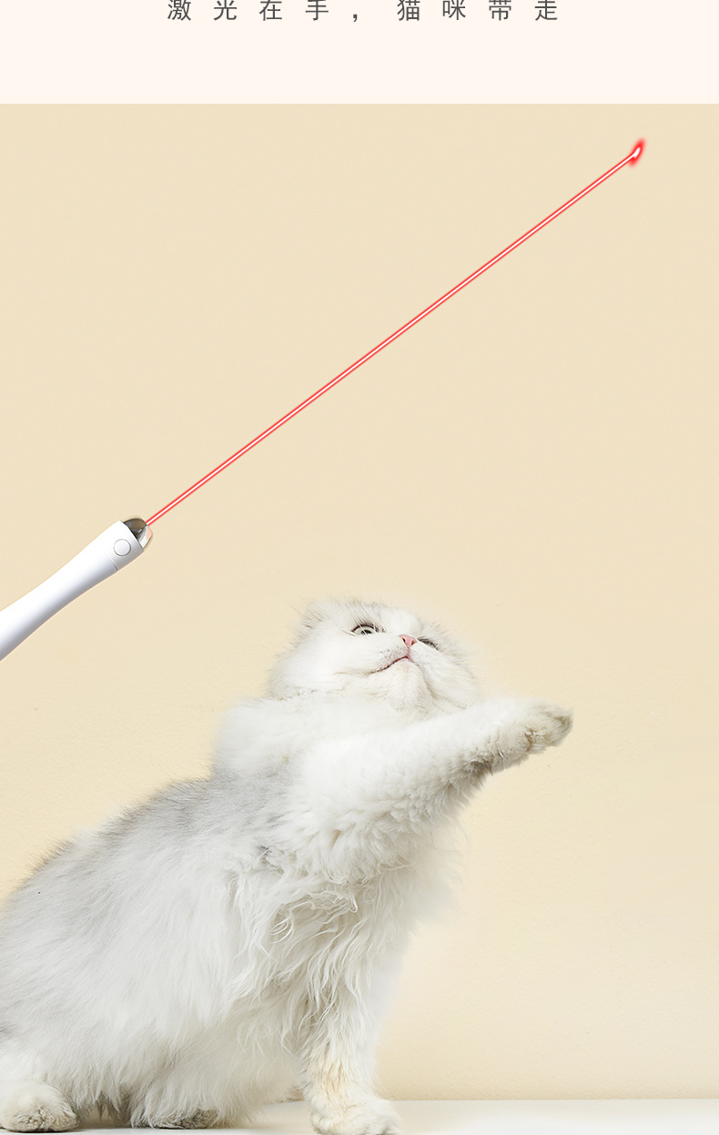 猫玩具套装 磨牙玩耍娱乐互动激光笔头逗猫羽毛逗猫棒 逗猫礼盒