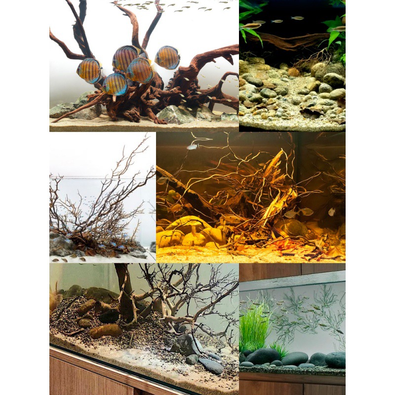 雨林缸鱼缸底砂造景底沙乌龟河沙化妆沙白沙子沙原生溪流砂铁胆沙