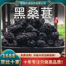 干桑葚中药材新疆新鲜黑桑葚干子桑甚肾大颗粒果肉干粉泡酒水茶喝