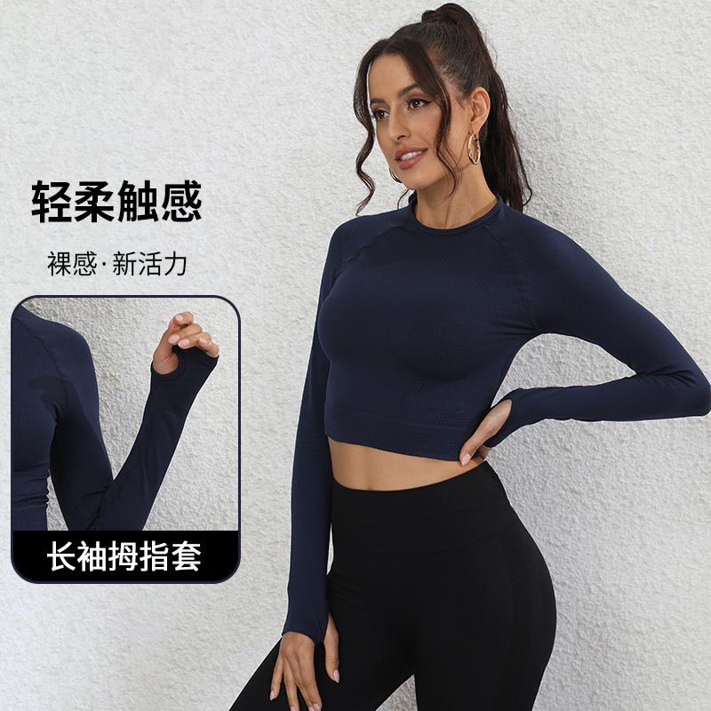 Processing Custom Cross-Border Foreign Trade New Yoga Long Sleeve T-shirt Tight Stretch Crew Neck Yoga Workout Clothes Top