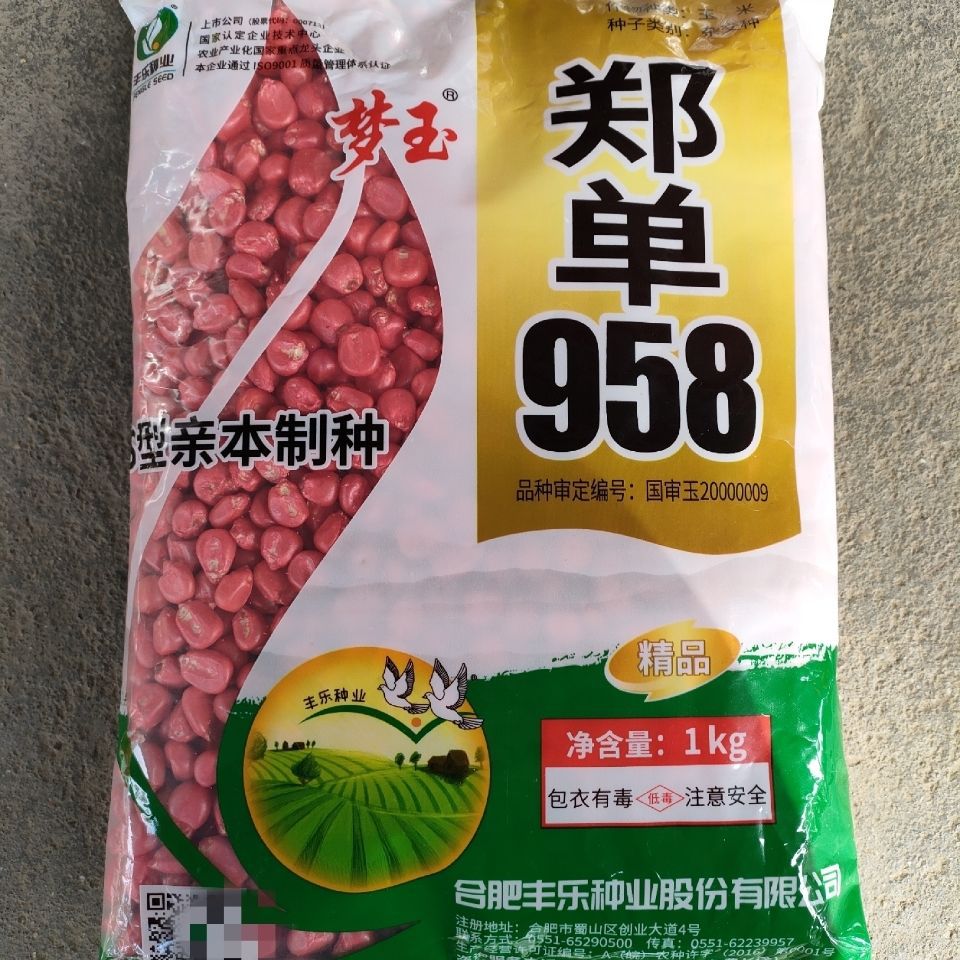 丰乐种业国审郑单958饲料玉米 白轴玉米种子产大棒大田种植1公斤