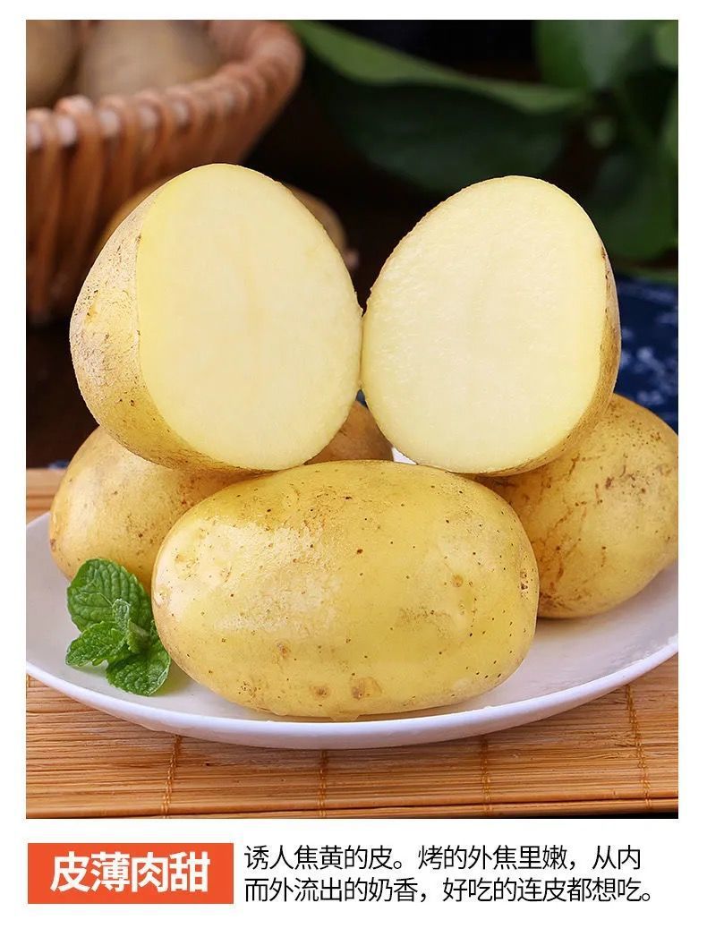 【土豆批发】当天现挖黄皮黄心土豆马铃薯大土豆洋芋5斤/10斤包邮