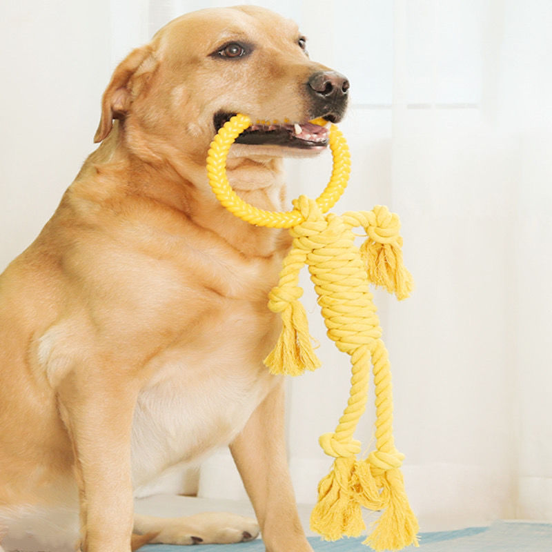 Pet Dog Toy Molar Bite Rope Golden Retriever Samo Big Dog Toy Knot Toy Dog Training Tug of War Supplies