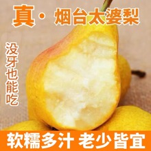 啤梨进口比利时啤梨大果4斤软糯香甜荷兰青啤梨新鲜儿童水果包邮