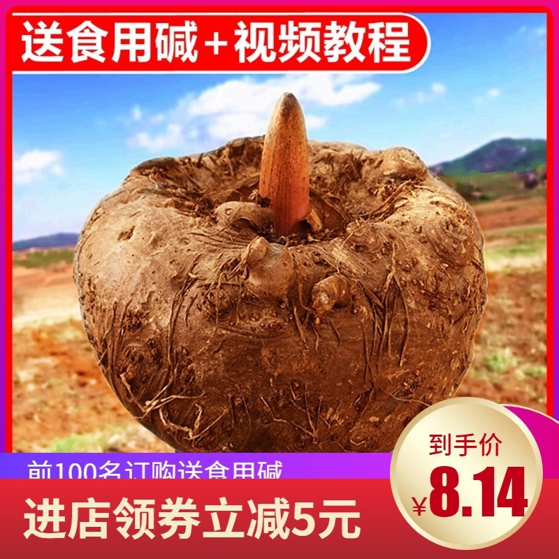 【长期有货】云南生魔芋新鲜现挖现发豆腐灰菜现挖自
