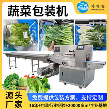 超市蔬菜自动打包机 生鲜链叶菜蔬菜水果包装机 蔬菜包装机