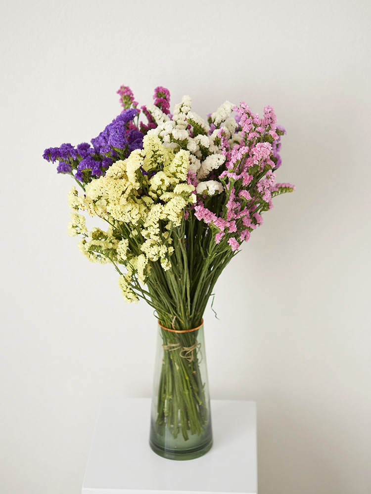 【勿忘我】云南昆明斗南鲜切花批发勿忘我鲜切花七夕花店婚庆用花