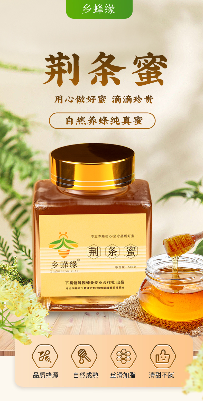 荆条蜜瓶装500g深山荆条花蜂蜜成熟蜂蜜 荆花荆条蜜1斤