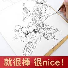 中国画白描入门篇白描画谱底稿大图工笔画底稿临摹国画临摹画册