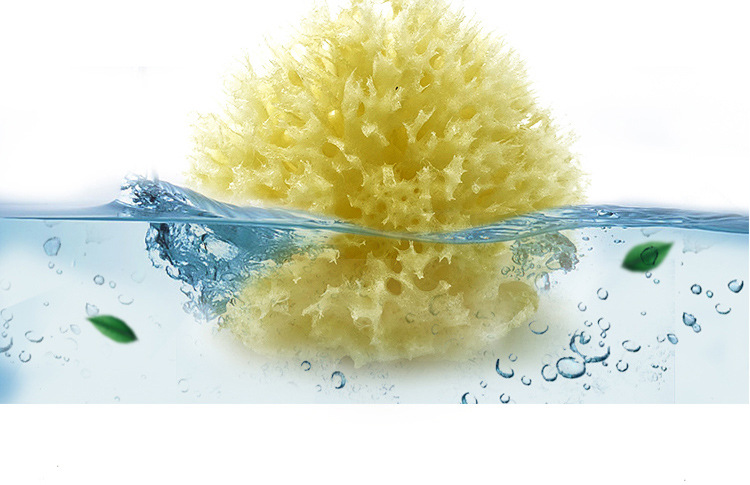 希腊天然脱色海绵温和质地柔软迅速起泡蜂窝海绵