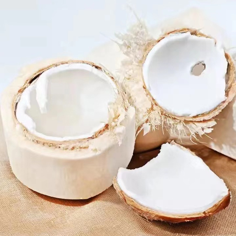 【全年】海南椰青 代发2/9个新鲜椰子奶香清甜应季热带水果非椰皇
