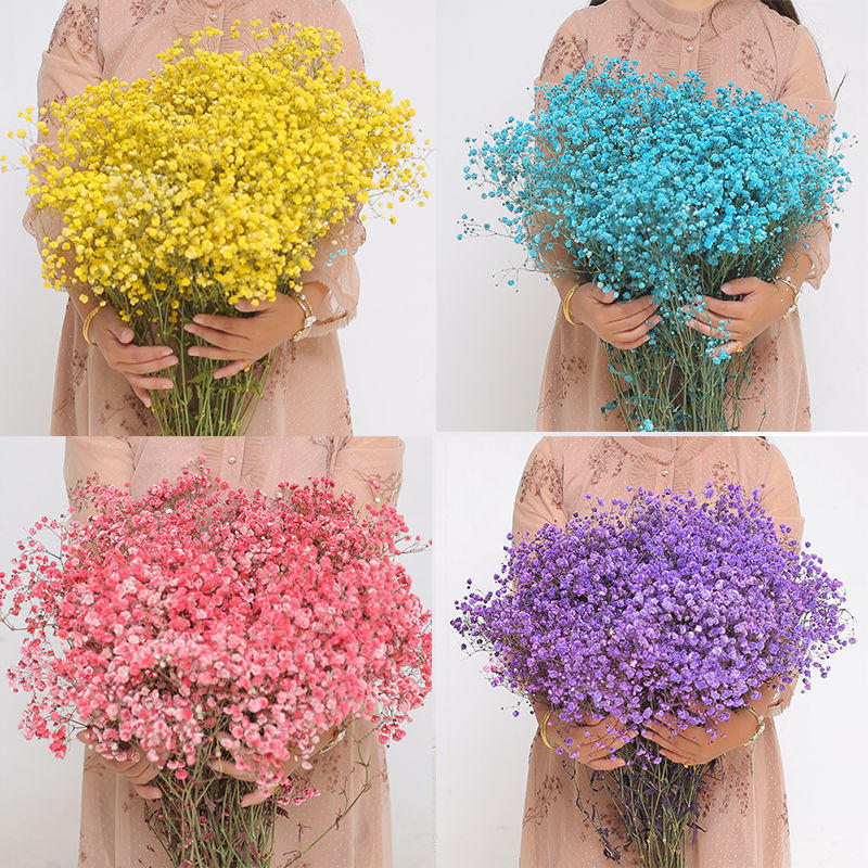 花满天星云南工厂直供满天星干花束情人节礼物diy材料亚马逊