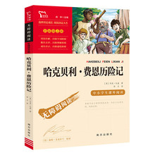 哈克贝利 费恩历险记(中小学生课外阅读指导丛书)无障碍阅读 彩插