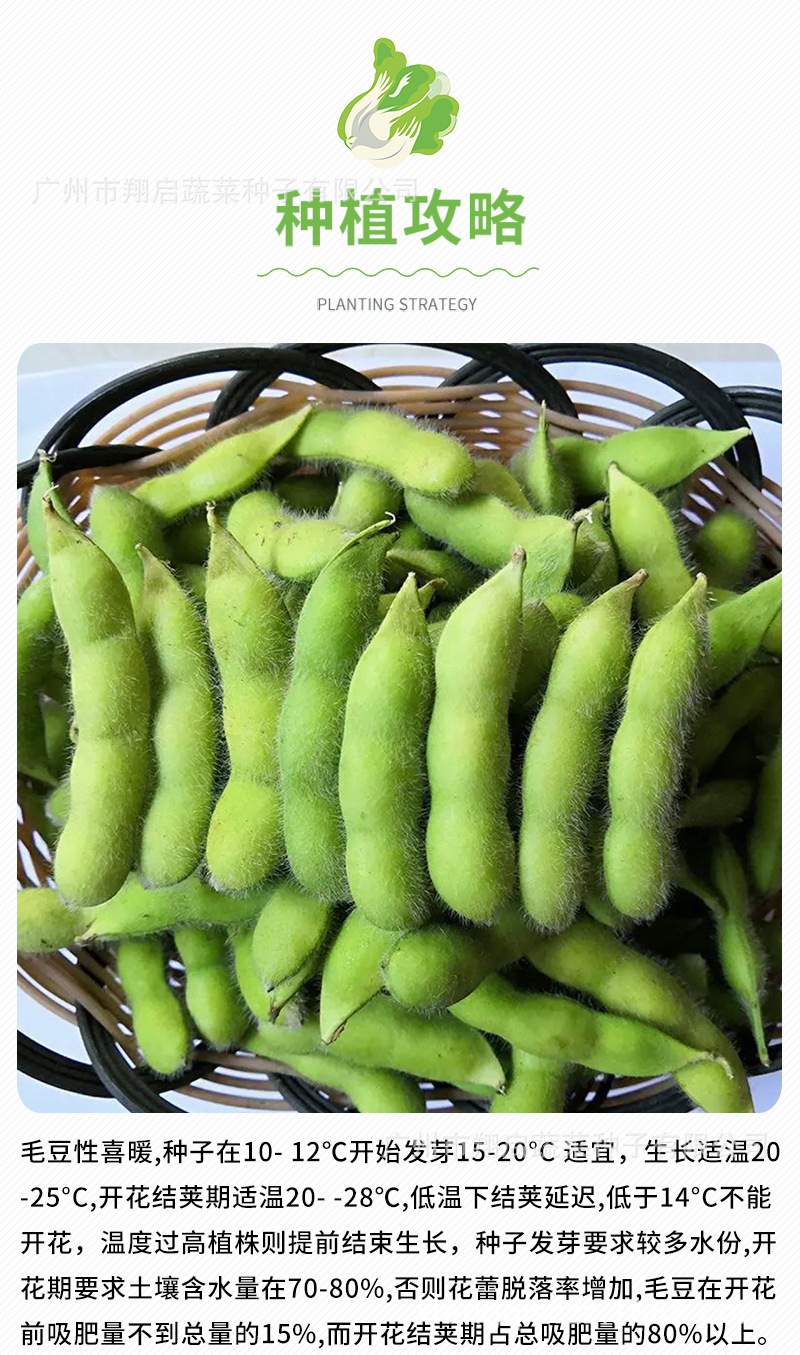 黄豆种籽鲜食毛豆种子早熟高产大豆种特大豆子春季青豆孑农家种植