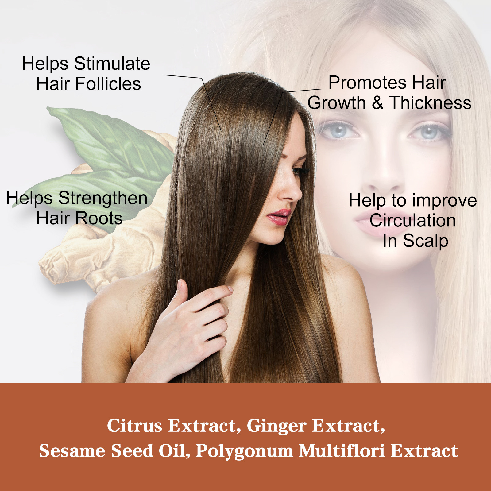Eelhoe Dense Hair Shampoo Hair Anti-Fall Solid Hair Dense Hair Care Dry Dry Hair Manic Soft Hair Shampoo