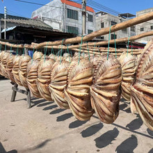 海南儋州自家晒整条海鲜红鱼干特产干货淡咸鱼农家自产销原干送礼