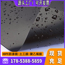 0.4mm厚塑料阻根层建筑工程隔离层高密度聚乙烯土工膜0.3mm厚薄膜