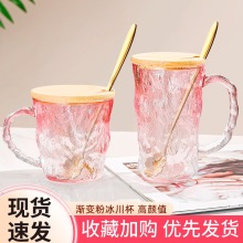 高颜值冰川纹玻璃杯女杯子带把手水杯牛奶果汁杯高级感轻奢饮料杯