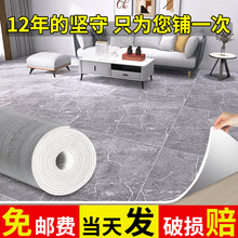 地毯卧室客厅大面积全铺家用塑料pvc防水可擦洗地垫水泥地面铺满