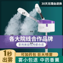 单双管注氧仪 脸部保湿器家用护理美容仪蒸脸仪器 冷热喷雾补水仪