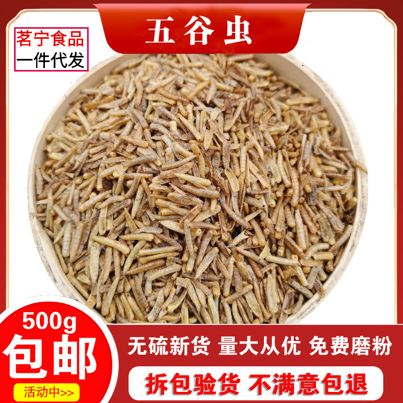 中药材 五谷虫干 黄金无谷虫 蛆 蝇蛆干水仙子500克另有蚂蚱蝼蛄