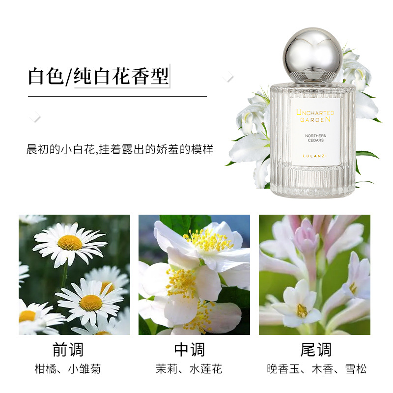 Lulanzi Secret Garden Perfume for Women Long-Lasting Light Perfume Fresh Internet Hot Niche Students Vietnam Wholesale