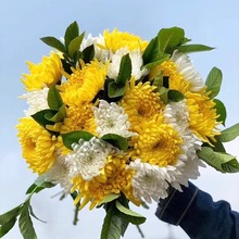 清明节黄白菊花鲜花束哀悼扫墓祭祖拜山求神云南基地速递包邮