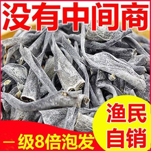 日晒海带头干特厚高品质海带跟福建霞浦海带干货煲汤500克海带根