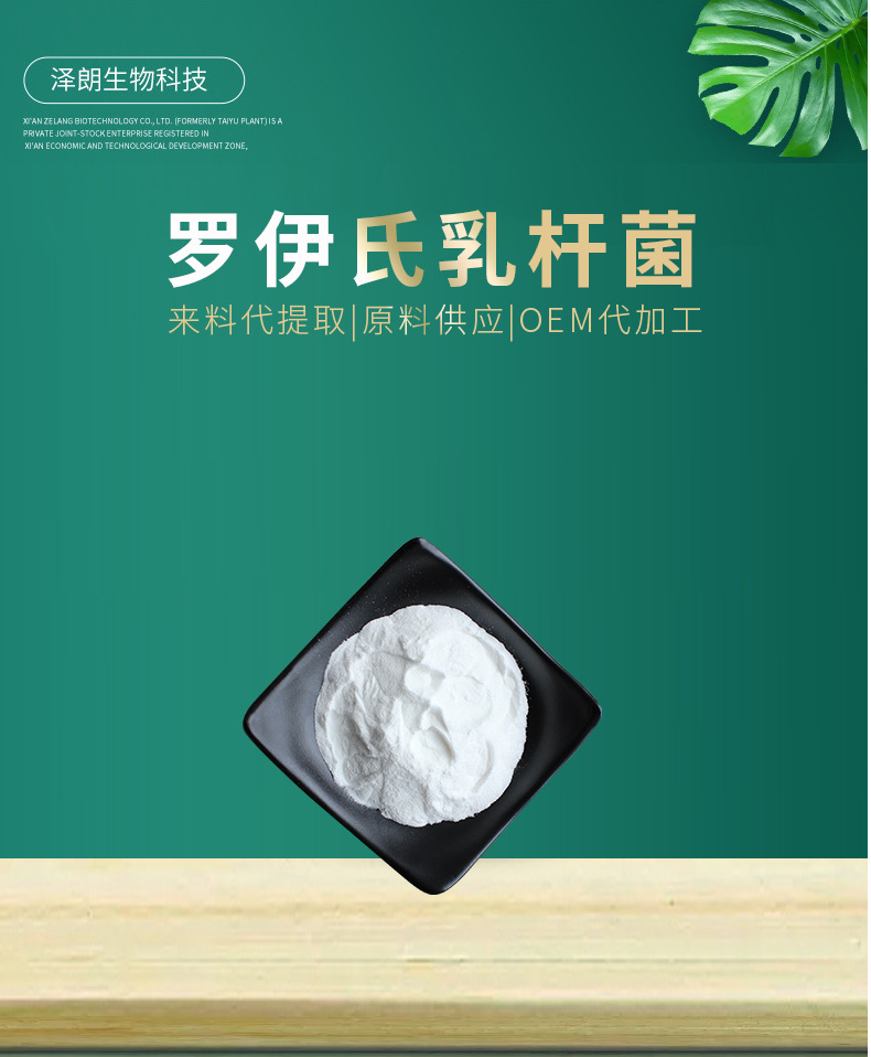罗伊氏乳杆菌 100亿cfu/g 益生菌粉冻干粉 食品级 乳酸杆菌 泽朗