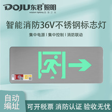 东君A型集中电源消防疏散指示灯低压36v应急照明灯安全出口标志灯