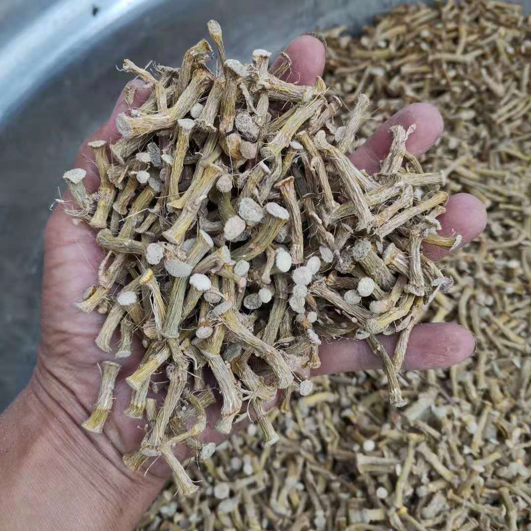 大量批发云南黄草 水草干条寸条  整条烘干胶质浓厚水草石斛枫斗