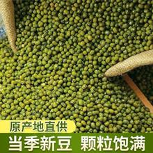 东北新鲜绿豆500g 批发去皮绿豆农家自种五谷杂粮红豆绿豆发芽豆