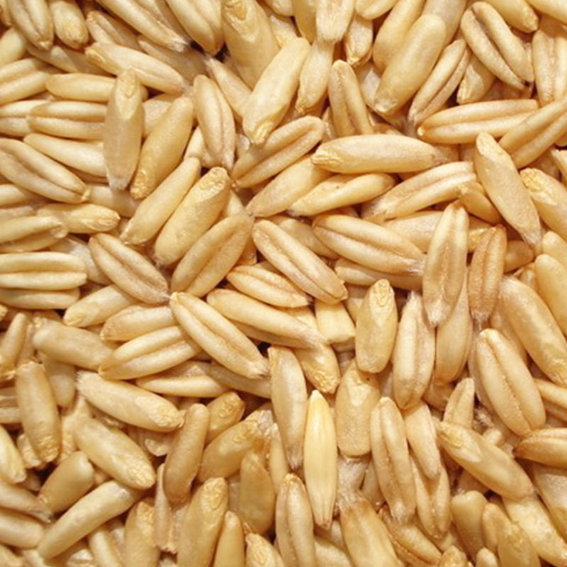 内蒙武川莜面面粉莜麦面纯莜面粉燕麦面斤装家用纯莜面鱼鱼窝窝