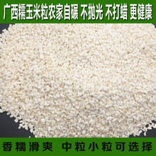 广西巴马珍珠黄玉米粒农家整粒玉米五谷杂粮爆米花料3斤包邮新品