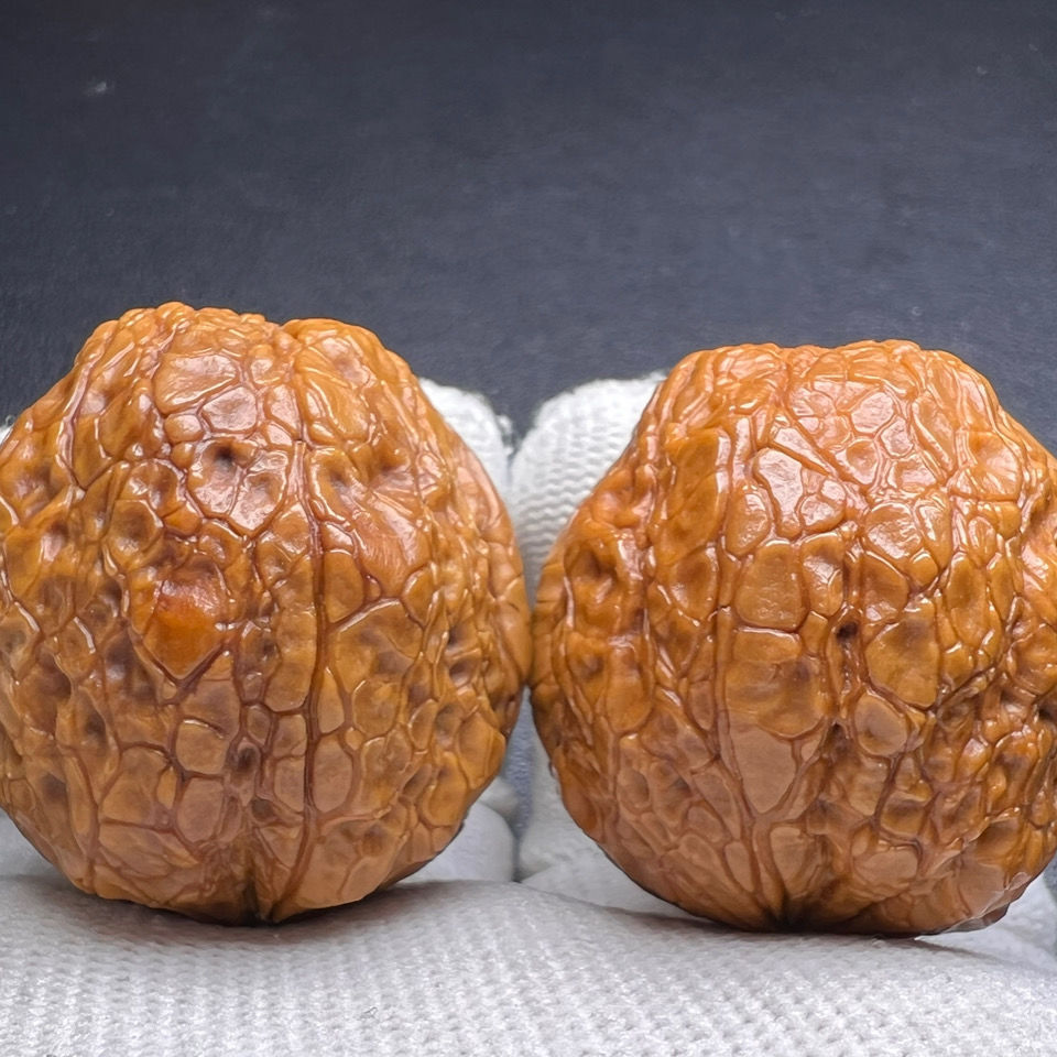 云南野生文玩核桃龙鳞元宝狮子头蛤蟆头粗筋闷尖疙瘩包绣球铁核桃