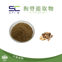 SC厂家  狗脊提取物 10:1 狗脊粉 狗脊浸膏粉 水溶性 慈缘生物