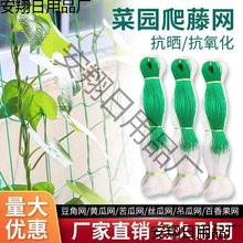 爬藤网农用植物山药黄瓜豌豆苦瓜豆角丝瓜吊瓜百香果攀爬网种植网