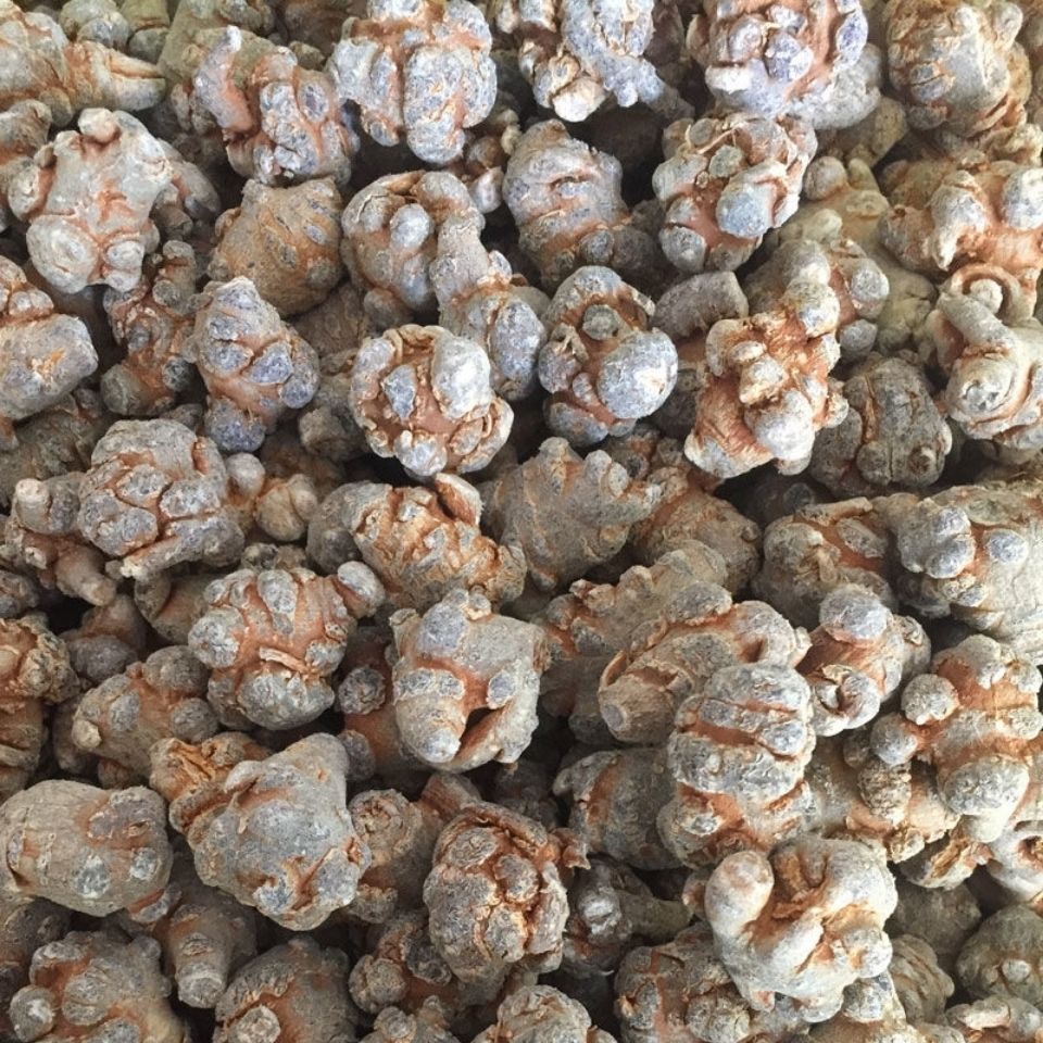 三七  文山三七  三七 中药材三七 三七粉  4云南三七