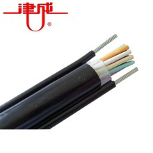 天津津成线缆ZR-KVVP22 3芯低烟低卤阻燃绝缘铠装屏蔽控制电缆