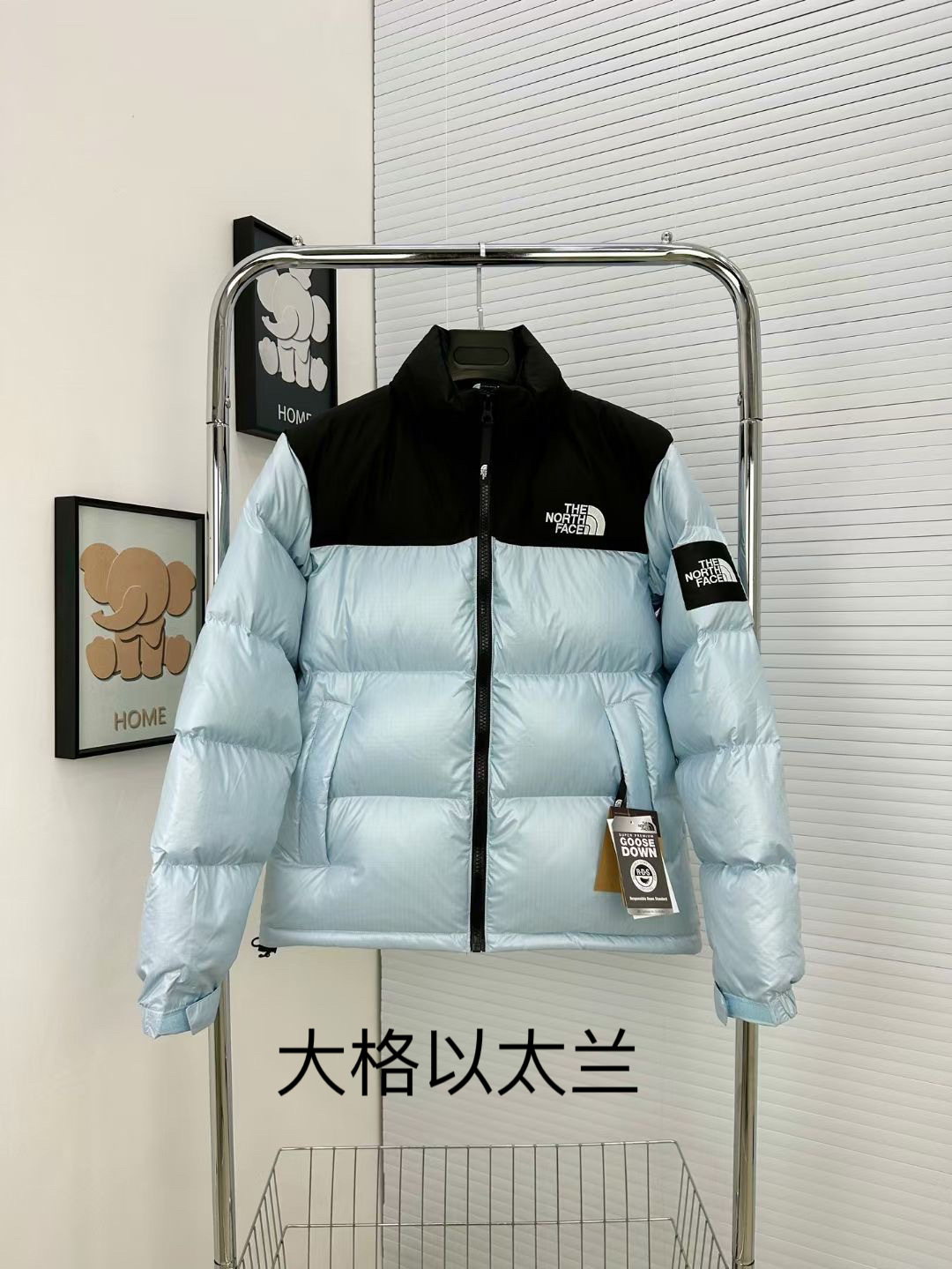 Pure Original American Version North House Tn1996f down Jacket 700 Fluffy White Duck down Warm Men's and Women's Same Cold-Resistant Bread Coat