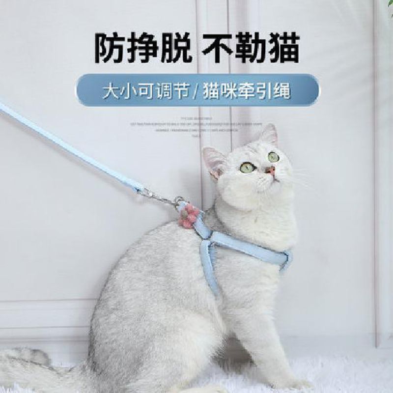 猫咪外出牵引绳防挣脱猫绳子遛猫绳可爱小花背心式遛狗绳宠物项圈
