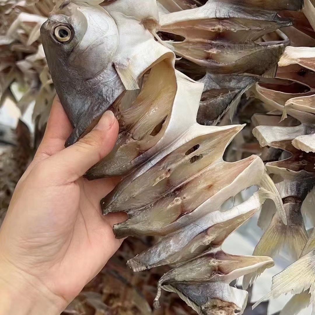 金鲳鱼干淡晒新鲜深海咸鱼金昌鱼干广东阳江特产海鲜干货海味水产