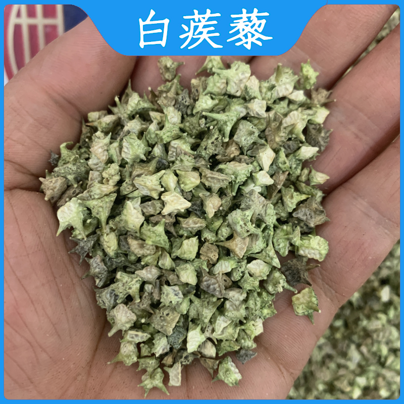 亳州中药材批 发蒺藜1000g白蒺藜 刺蒺藜 不可磨蒺藜粉蒺藜子